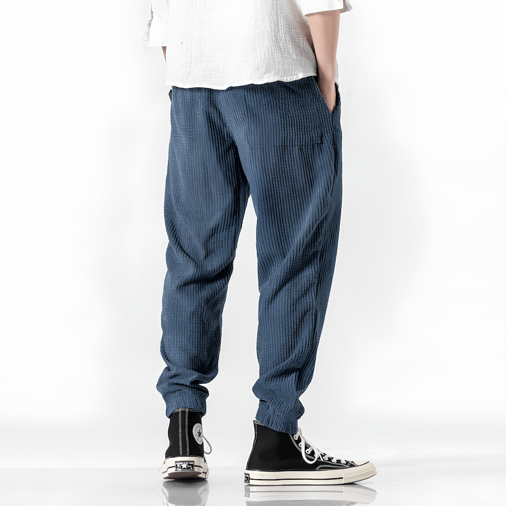 Ramiro | Pantalons en velours modernes